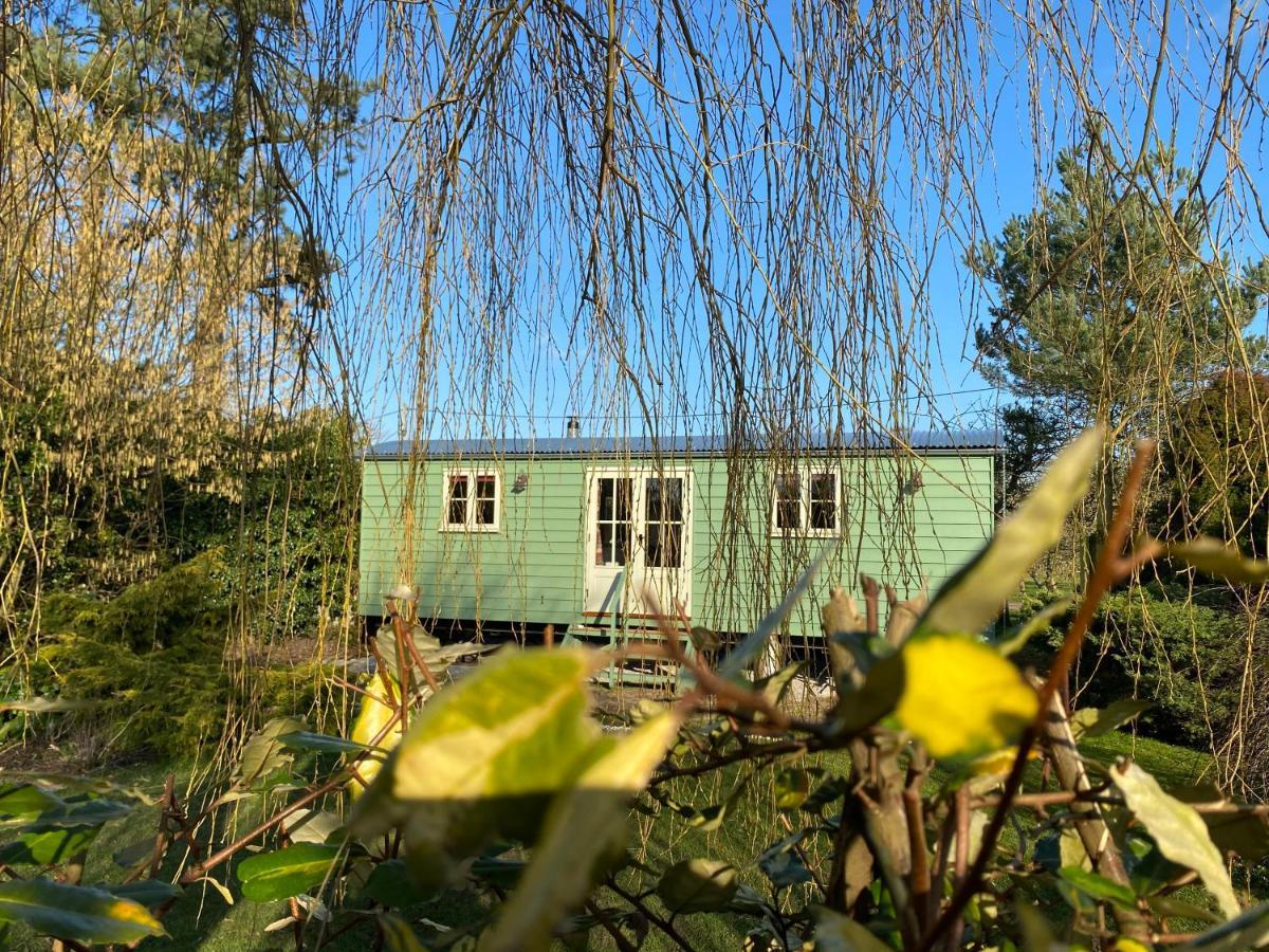Holly Lodge Boutique B&B Thursford Eksteriør bilde